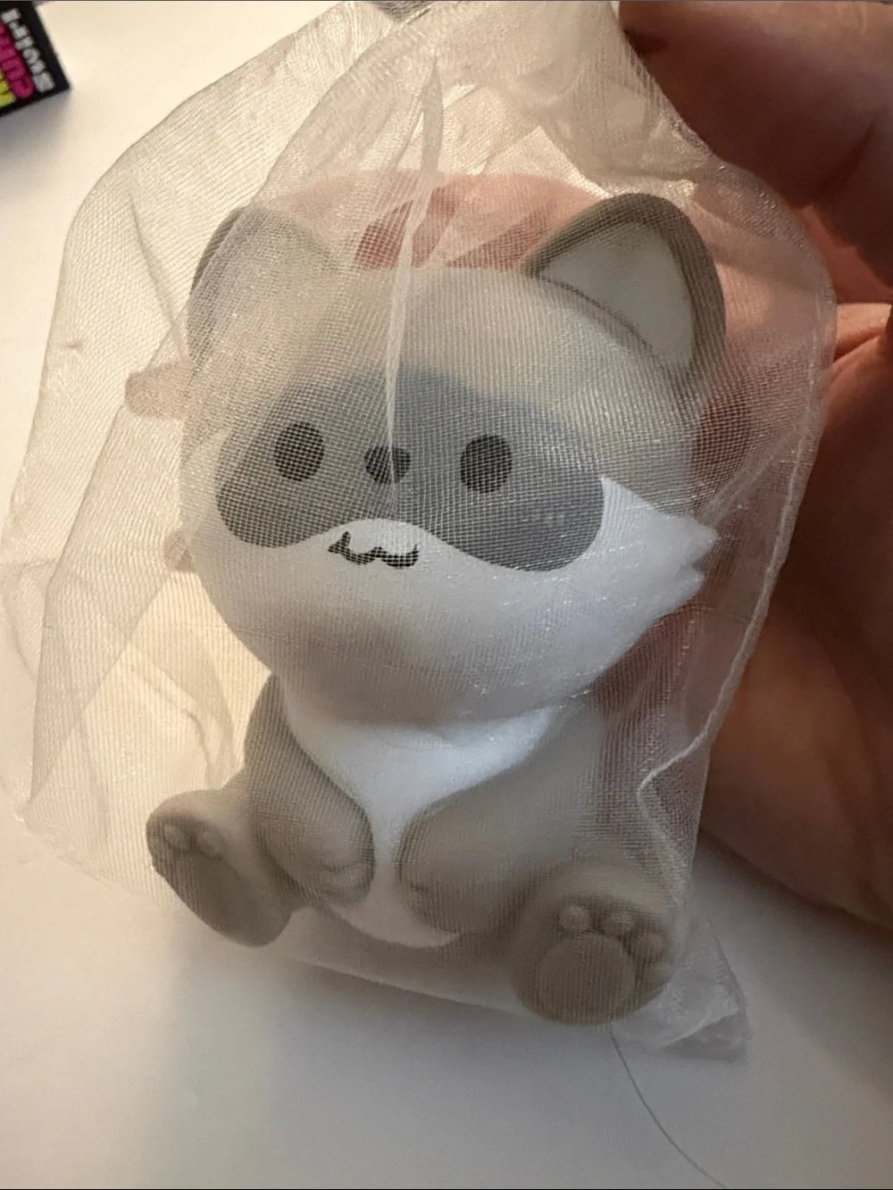 Squishy Raccoon